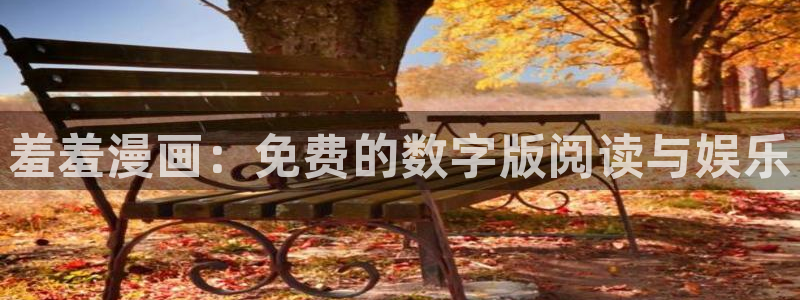 拷贝漫画 copymanager.ory网站