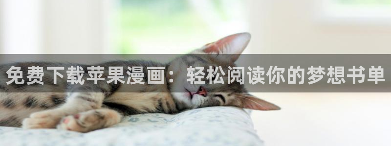 age专注动漫的门户网站