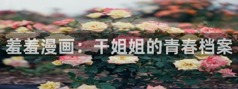 风车动漫