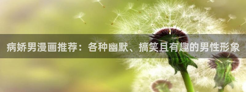 风车动漫网下载