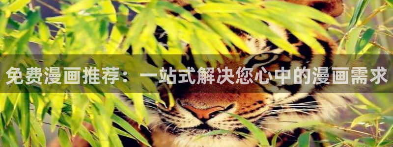 风车动漫下载动漫全免费