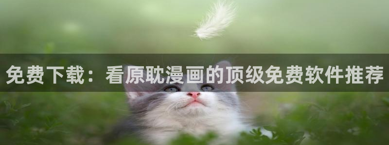 风车动漫官网樱花动漫