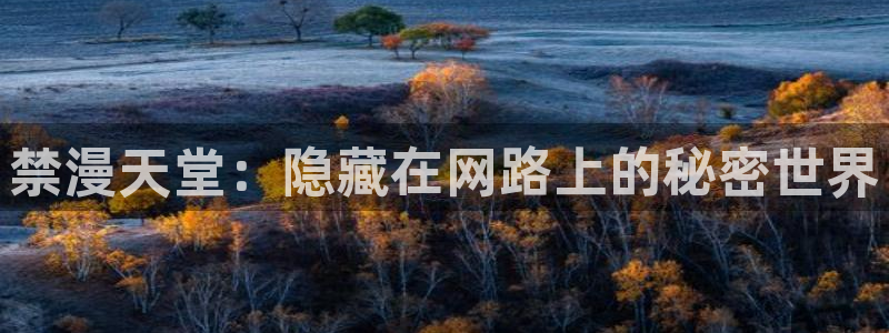 age漫画网