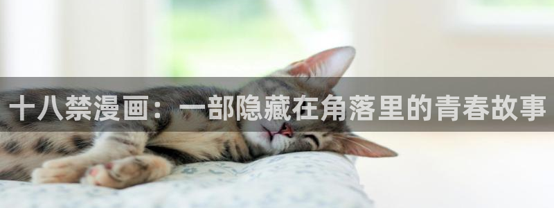 age专注动漫的门户网站