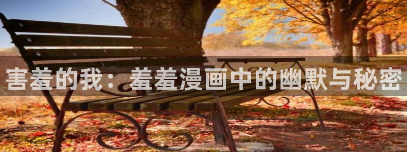 下载风车动漫