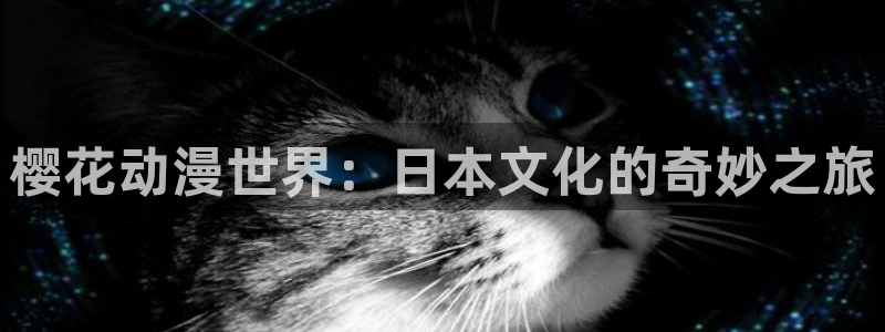 下载风车动漫