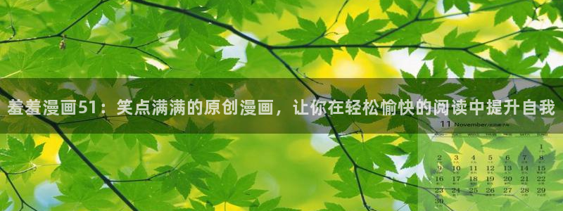风车动漫网下载