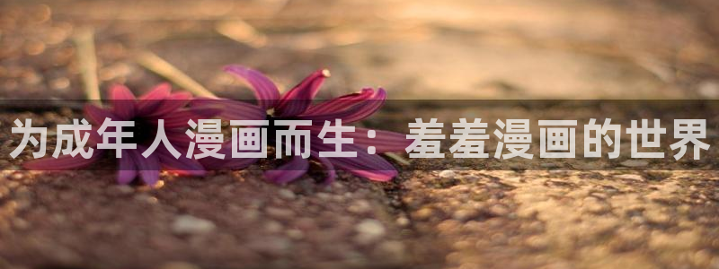 在线动画动漫下载风车动漫