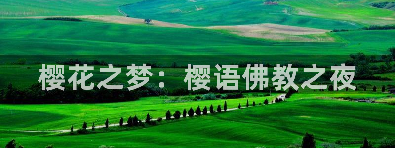 backstage韩漫免费观看：樱花之梦：樱语佛教之夜