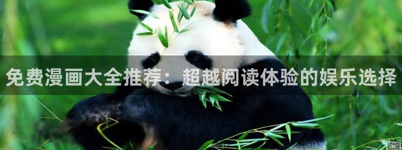 在线动画动漫下载风车动漫：免费漫画大全推荐：超越阅读体验的娱乐选择