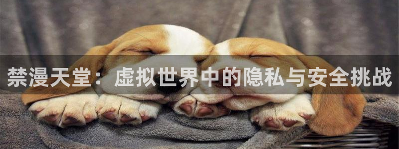 韩国漫画平台kakaopage：禁漫天堂：虚拟世界中的隐私与安全挑战