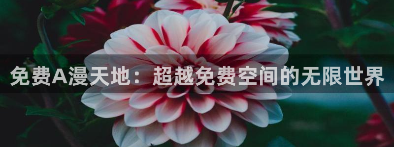 风车动漫下载入口：免费A漫天地：超越免费空间的无限世界