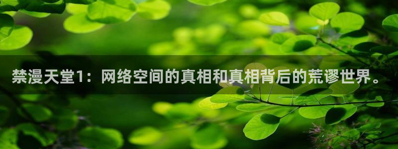 风车动漫官网网址：禁漫天堂1：网络空间的真相和真相背后的荒谬世界。