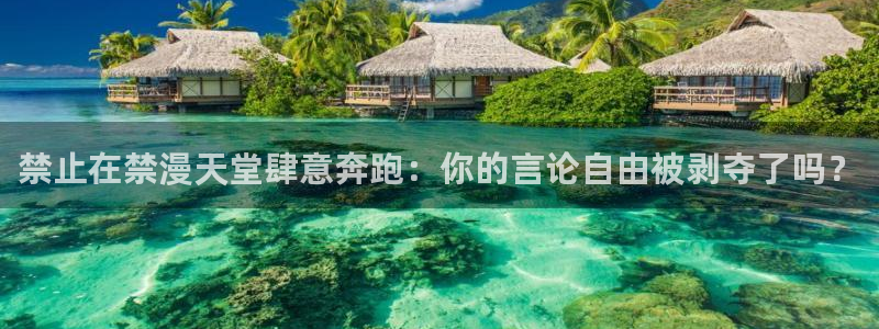 风车动漫下载：禁止在禁漫天堂肆意奔跑：你的言论自由被剥夺了吗？