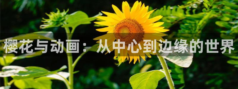 colamanage漫画官网：樱花与动画：从中心到边缘的世界