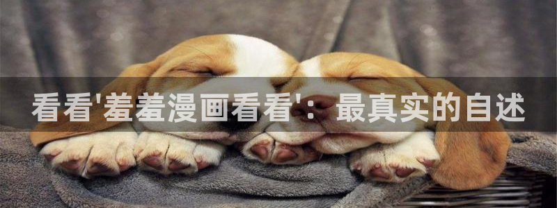下载风车动漫：看看\'羞羞漫画看看\'：最真实的自述