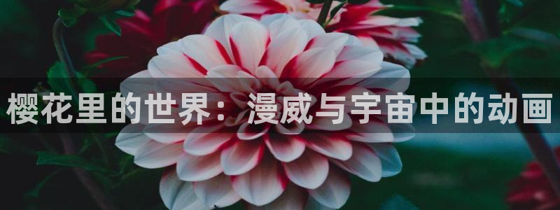 风车动漫网下载：樱花里的世界：漫威与宇宙中的动画