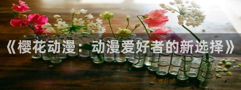风车动漫樱花：《樱花动漫：动漫爱好者的新选择》